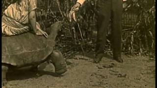 Hamilton Leithauser + Rostam - In a Black Out