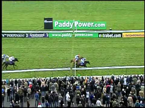 Cheltenham Open Promo