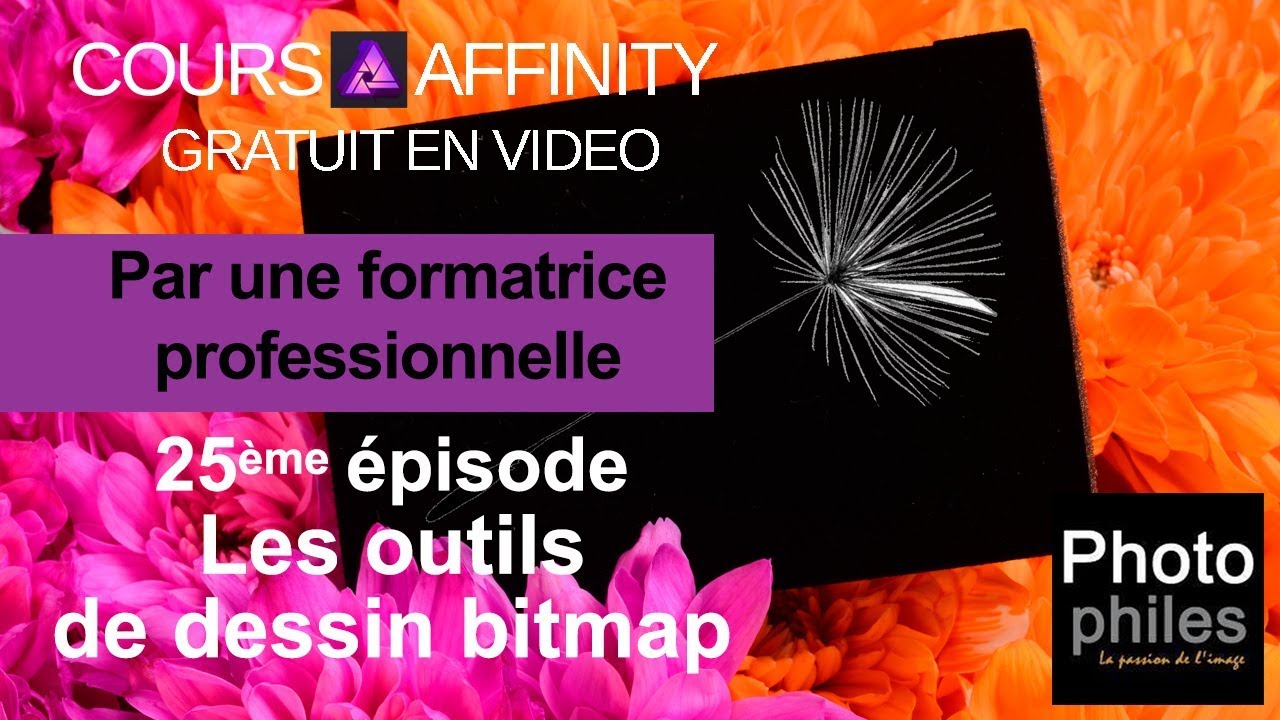N°25 Cours Affinity Photo. Les outils de dessin Bitmap