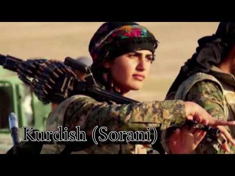 Bella Ciao in 10 Languages HD