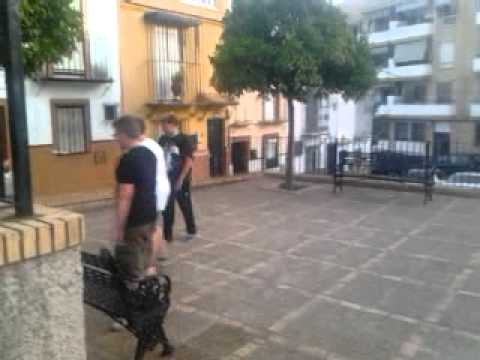 Equipo chiri vs equipo yeray.mp4