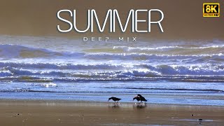 Breeze Archive 📚🌬️ | Vintage Chill House Flow | Musically Hub