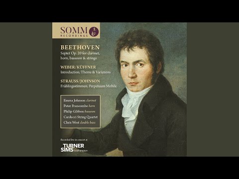 Frühlingsstimmen, Op. 410 (Arr. E. Johnson for Chamber Ensemble) (Live)