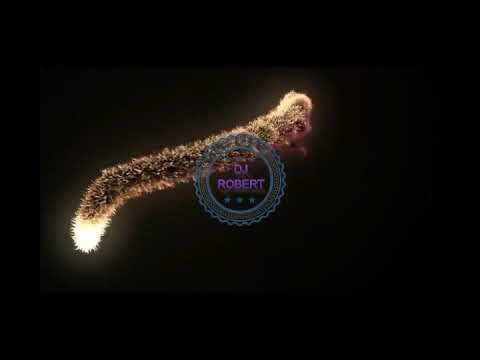 LAS MEJORES CANCIONES DE REGGAETÓN  Y PERRO MIX DJ ROBERT 2021