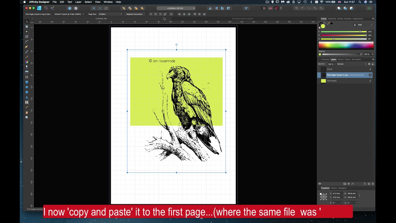 Affinity Designer 'tracing' / SVG problem (sound added)