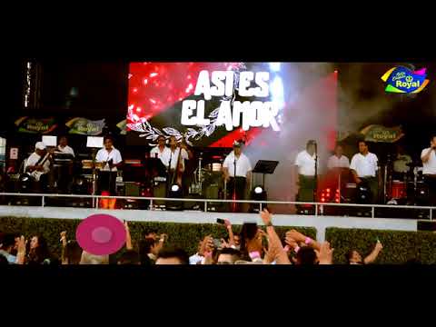 AGUA MARINA - AMOR SINCERO