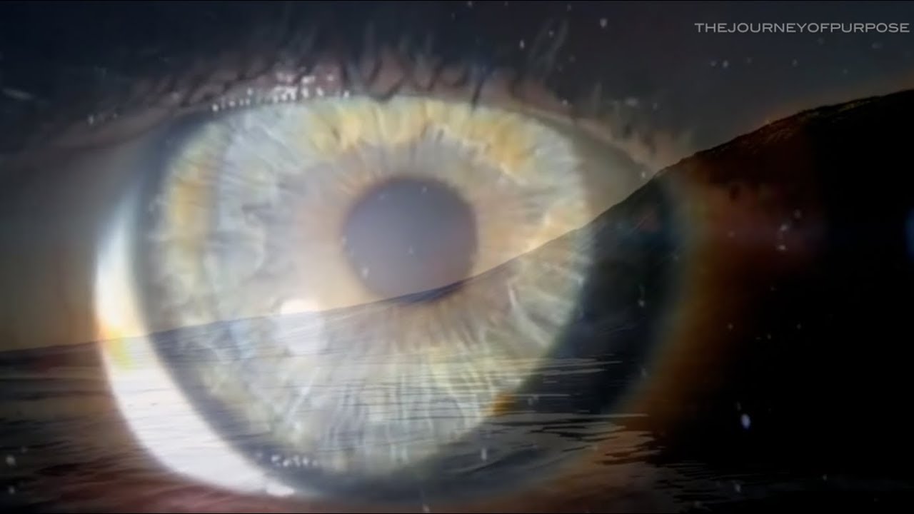 You are the Eternal Universe – Alan Watts