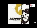 Shaggy - Ready Fi Di Ride.