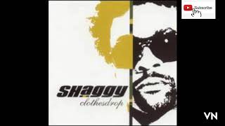 Shaggy - Ready Fi Di Ride.