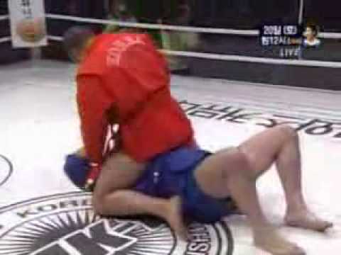 Fedor Emelianenko vs Vladimir Voronov