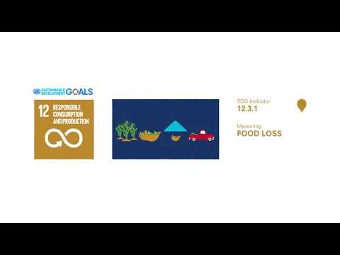 SDG 12 – Indicator of global food losses