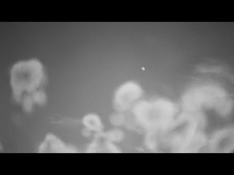 Dk Shawtyy - Dance With Me (prod. surgexo x Secretss)