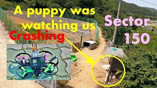 HGLRC Sector 150 Cinematic FPV Racing Drone CRASH video signal lost a puppy watching me crashing