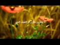 surat al mulk saad el ghamidi سعد الغامدي - سورة الملك اقرأ ...