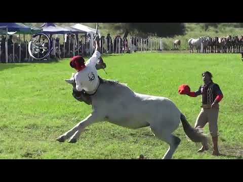 Villa Ana 2026 - Categoria Clina - 1º Festival del Obrero - Aroldo Wirth - 9 y 10 de Mayo