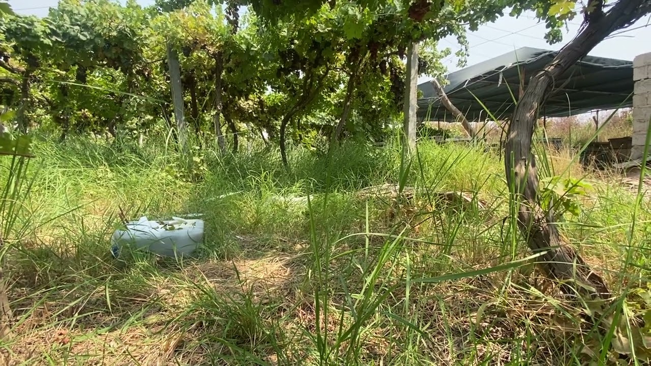 اهم النصائح في عبور الاجواء الحارة 