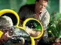 Disney Channel Jungle Ident 2002 2007