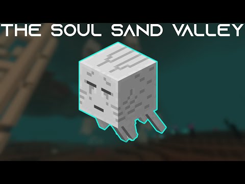 Shukoloton - The Soul Sand Valley | Minecraft Biome Analysis | 2021