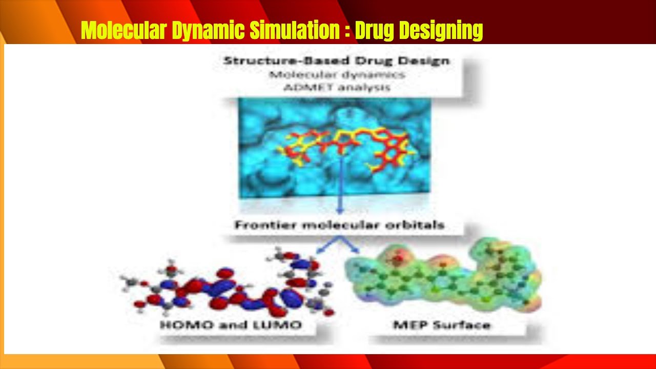 Hands-on Training on Simulation Modeling ; MD simulation