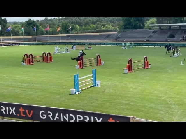 Top hongre 7 ans (2018) SF 140 TOP 7 