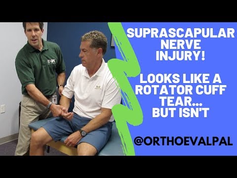 Shoulder Apprehension Test and Relocation Test