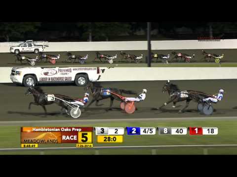 July 26, 2014 - Race 5 - Hambletonian Oaks Prep - Shake It Cerry