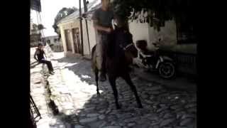 Kostas Anastasiadis - Rhythm on Horse Steps