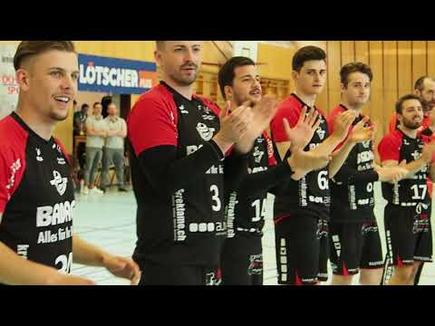 Handball emmen : SG Wädenswil Horgen  31_ 3_ 2019