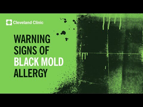 Symptoms of Black Mold