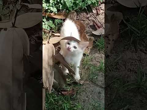 kurunji 😍😍❤️❤️