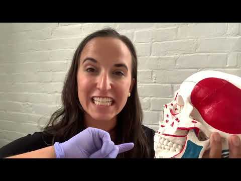 Medial Pterygoid Release