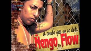 Ñengo Flow Mix - (Prod. DJ Giampolzhito & DJ Nito) 2013 - 2014