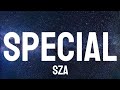 SZA - Special ( Lyrics ) I wish I was specialI gave all my special