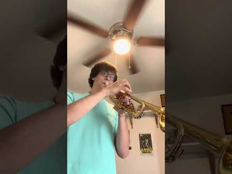 Yamaha YTR-200ADII Advantage Standard Bb Trumpet 2010s - Brass image 9