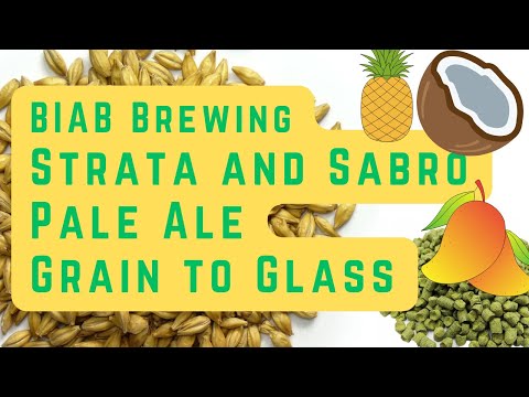 StratBro Pale Ale | Cerveja Strata e Sabro | Cerveja BIAB | Grão para Vidro