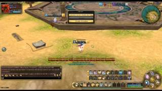 Bug arena zeta Flyff