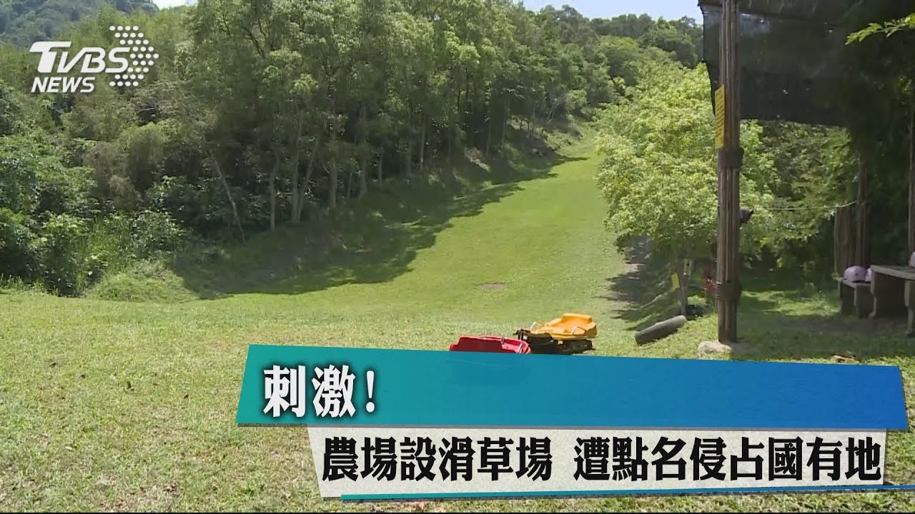 刺激! 農場設滑草場遭點名侵占國有地