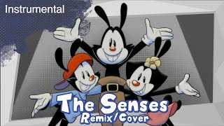 Animaniacs - The Senses (Jakeneutron Remix/Cover) || Instrumental