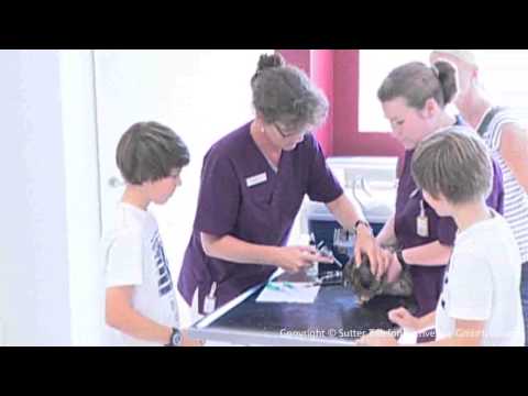 Video 1 Rüdiger Wolf Tierarztpraxis