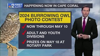 Fun for the family: Cape Coral burrowing owl photo contest now open