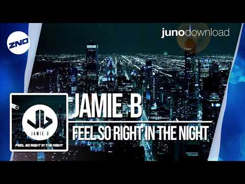 DNZF564 // JAMIE B - FEEL SO RIGHT IN THE NIGHT (Official Video DNZ Records)