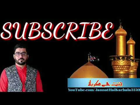 Mir Hasan Mir | Manquabat | Bibi Masooma e Qum(S.A)