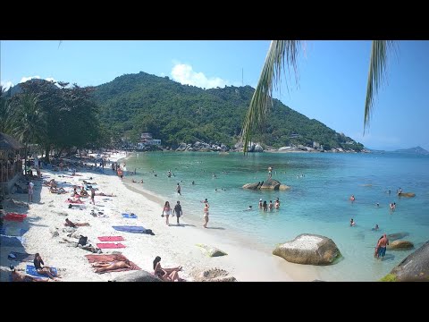 🔴 Crystal Bay Yacht Club | Lamai | Koh Samui | Thailand | Live Beach Webcam | 2160p 4K