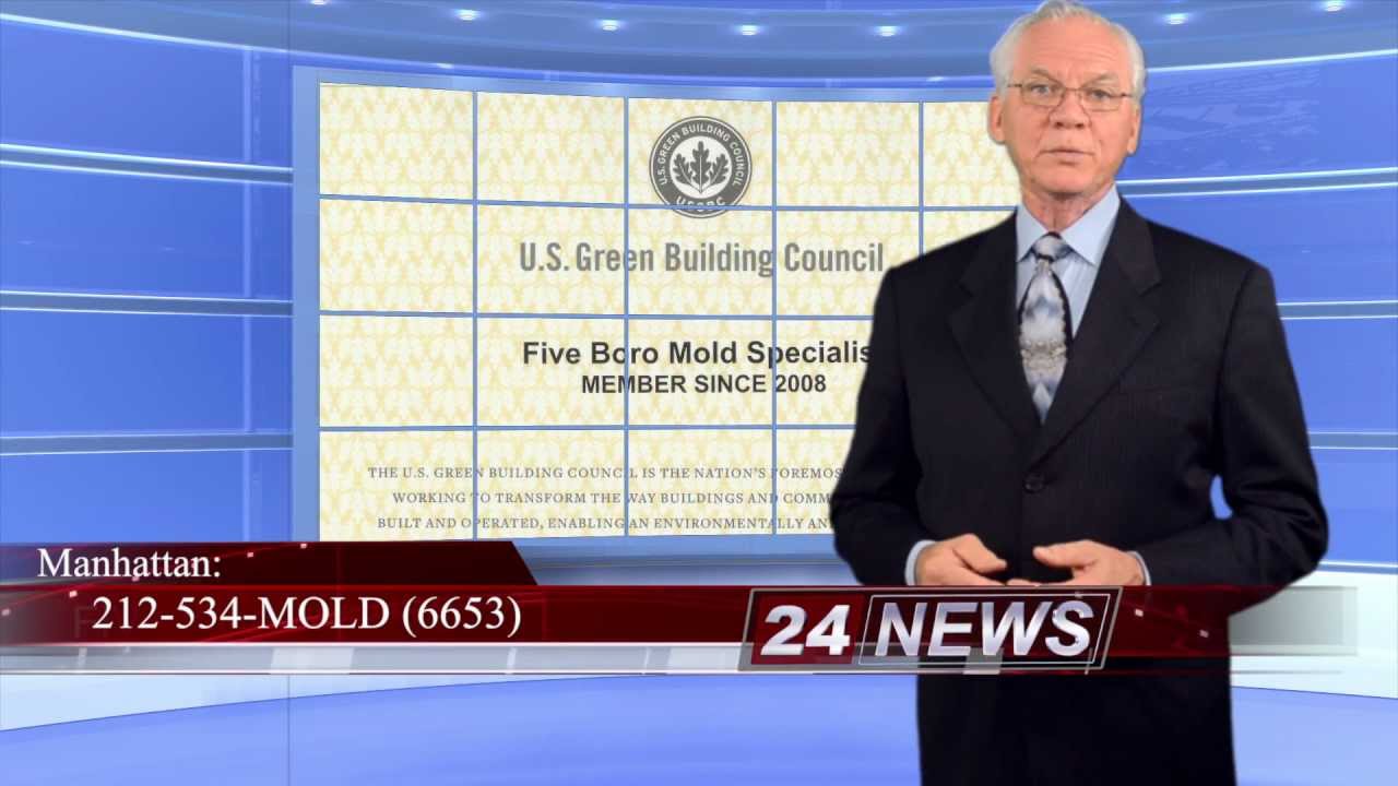 NYC Mold Inspection News - Hurricane Sandy Relief