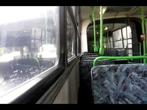 Margitszigeti bpo-981 bkk busz, (26)