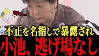 【小池百合子】※トンデモナイ不正を神谷が暴露…【佐藤沙織里 消費税 東京都議会本会議】