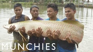 Amazonian Aphrodisiacs and 400-Pound Fish: Being Frank Peru (Part 2/2)