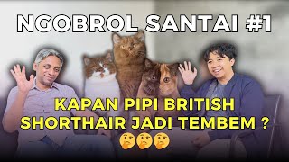 Download lagu KAPAN PIPI KUCING BRITISH SHORTHAIR JADI TEMBEM ❓ | NGOBROL SANTAI #1 mp3