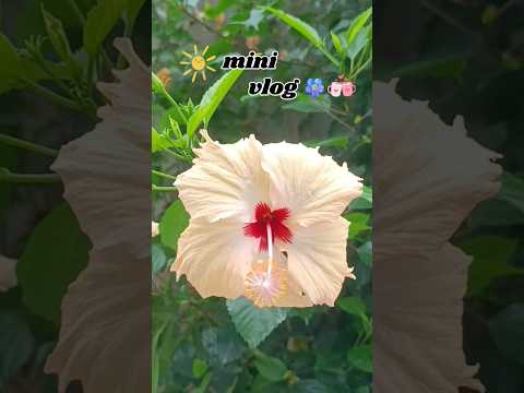 a day in my life 🌄🍁🌿#minivlog #food #flowers #mymorningroutine #home #trending