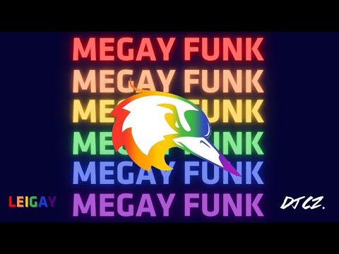 Megay Funk da Leiga - Intermed 2023